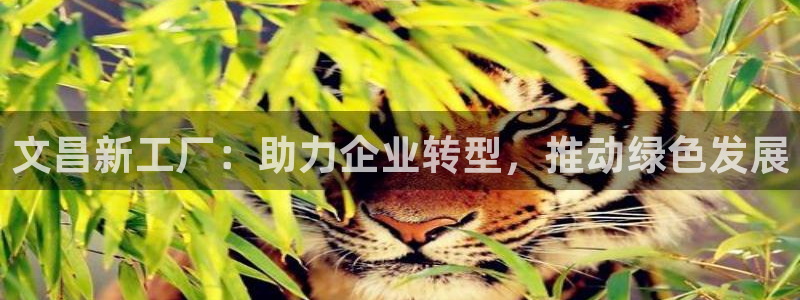 美高梅客服联系方法是什么