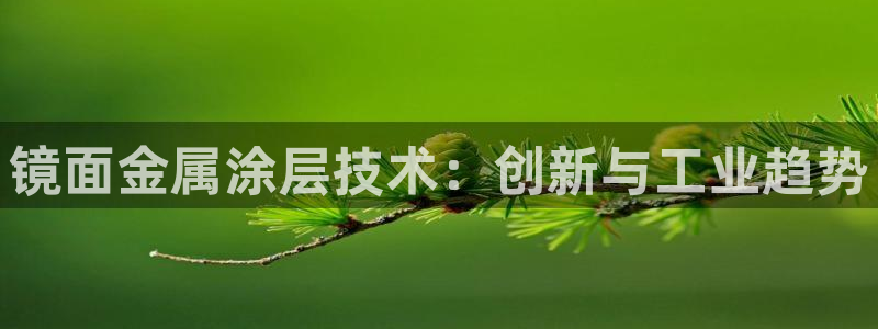 美高梅酒店如何预订