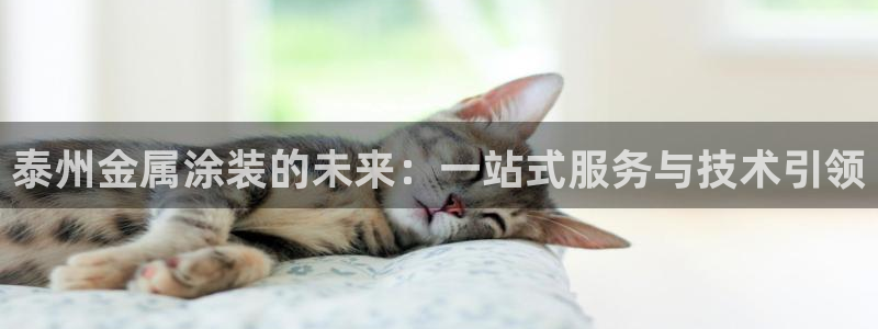 永利和美高梅一个老板吗