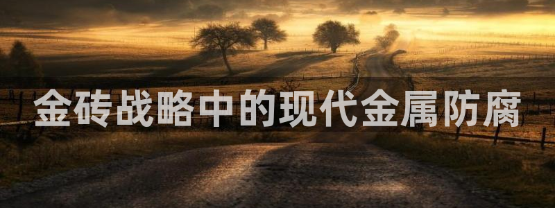 美高梅中国控股有限公司 介绍