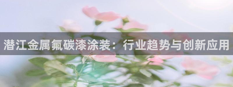 美高梅筹码颜色对应面值
