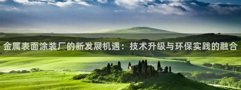 美高梅国际酒店集团介绍
