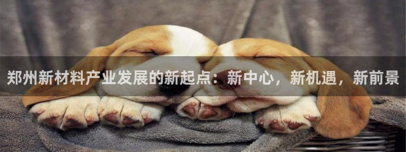 美高梅 何超琼：郑州新材料产业发展的新起