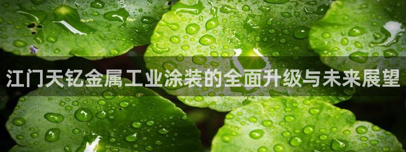 美高梅大酒店老板是谁