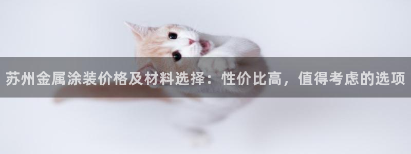 美高梅酒店空中海洋秀