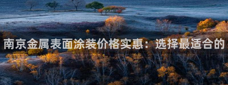 美高梅游戏导航：南京金属表面涂装价格实惠