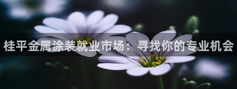 美高梅是干什么的：桂平金属涂装就业市场：
