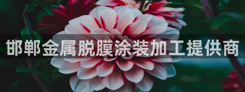 美狮美高梅酒店海洋秀