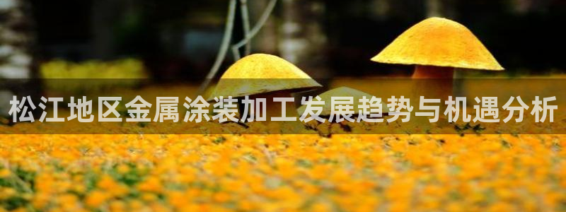 美高梅dfs关门时间