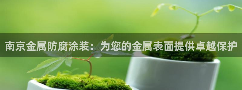 美高梅国际酒店集团位于美国哪个城市