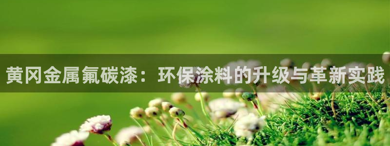 美高梅会员卡等级图片