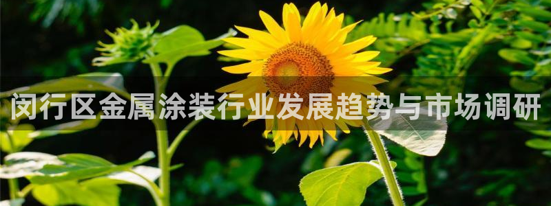 美高梅酒店为什么是狮子