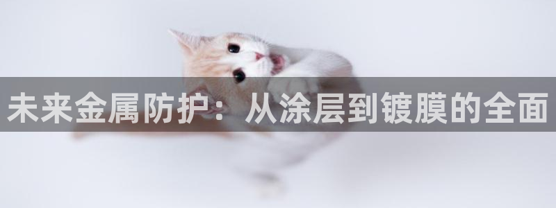 美高梅别墅售楼处