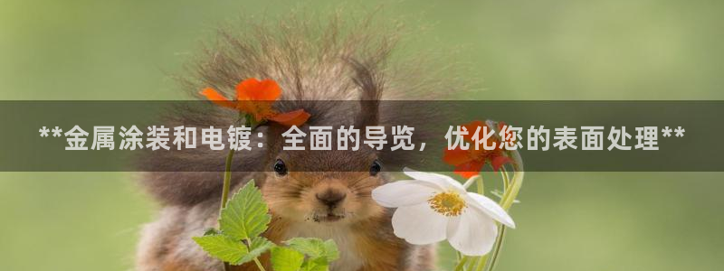 美高梅酒店客服