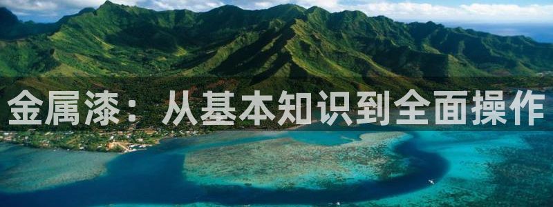 美高梅酒店老板